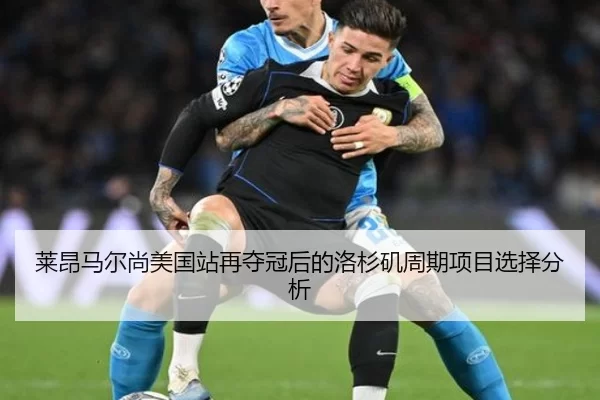 lai-ang-ma-er-shang-mei-guo-zhan-zai-duo-guan-hou-de-luo-shan-ji-zhou-qi-xiang-mu-xuan-ze-fen-xi-2-859.jpg